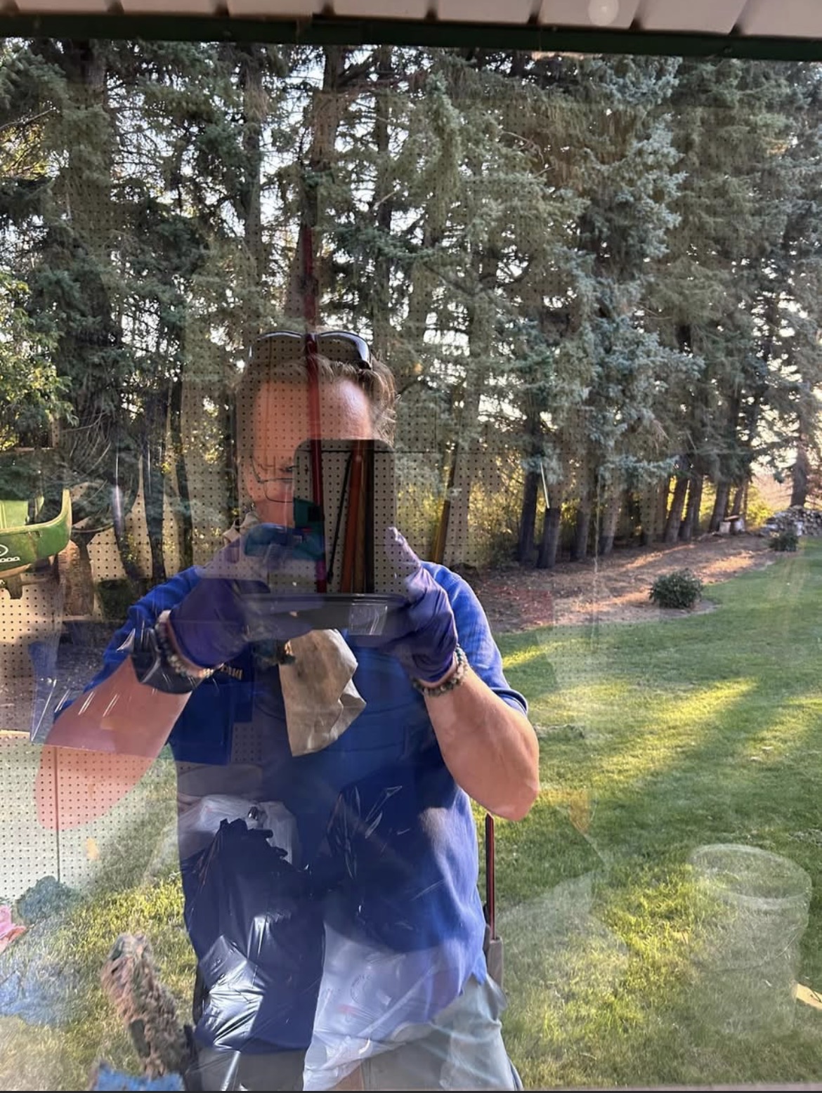 Clean glass with the yard and spruce trees showing straight through