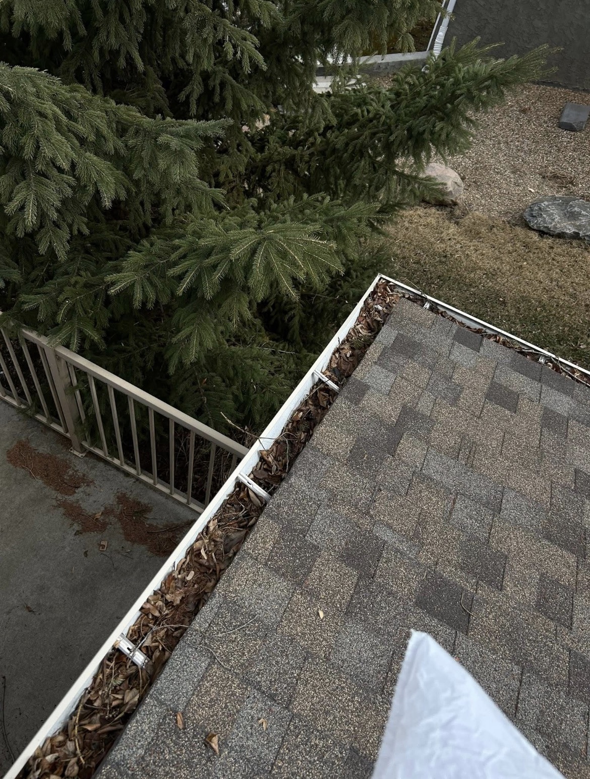 Roof gutter packed with leaves and shingle grit before cleaning
